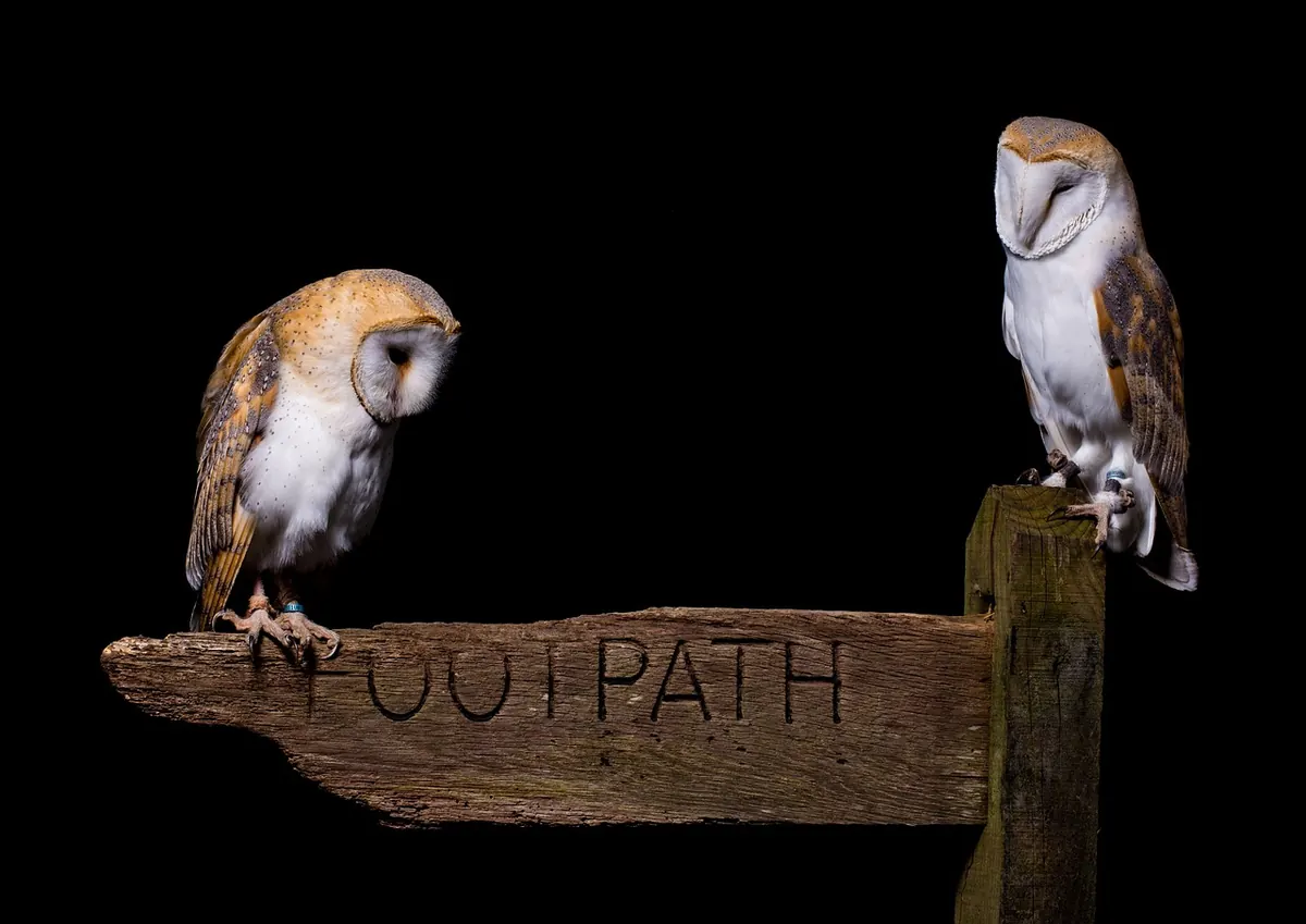 How to Read a Public Footpath Map: A Beginner's Guide to Rights of Way in England and Wales