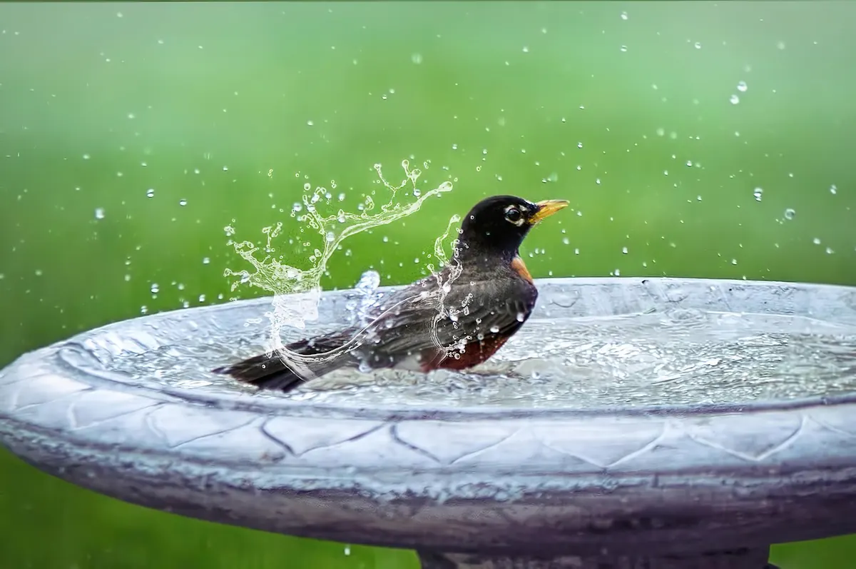 The Countryside Laundry Guide: Drying Clothes Outdoors in Damp British Weather